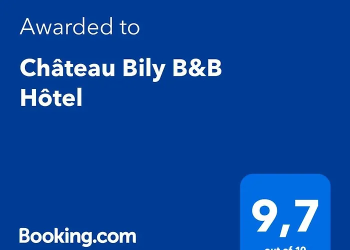 Château Bily B&B Hôtel
