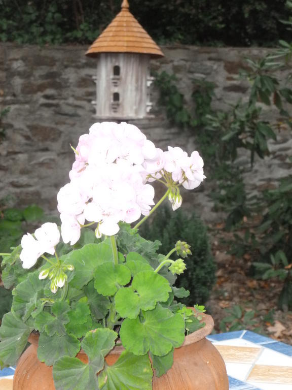 Maison d'hôtes Château Bily